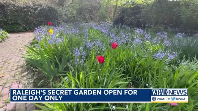 Raleigh's secret garden Raleigh's secret garden
