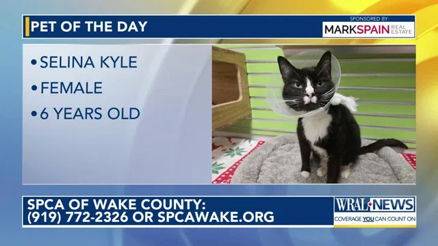 Pet of the day, Feb. 13, 2026