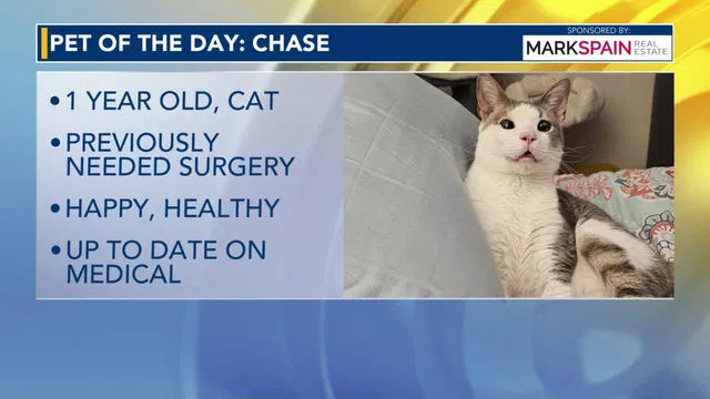 Pet of the Day for Feb. 22, 2026