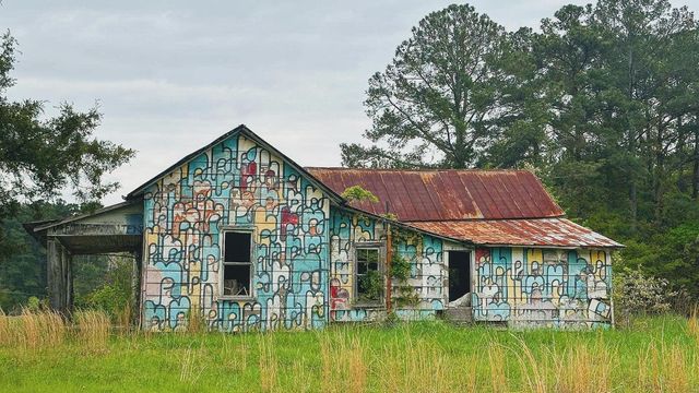 Live: Take a firsthand walk through the Barnstormer Murals Live: Take a firsthand walk through the Barnstormer Murals