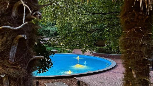 Waterfalls & hidden gems: Most Instagram-worthy spots near Raleigh